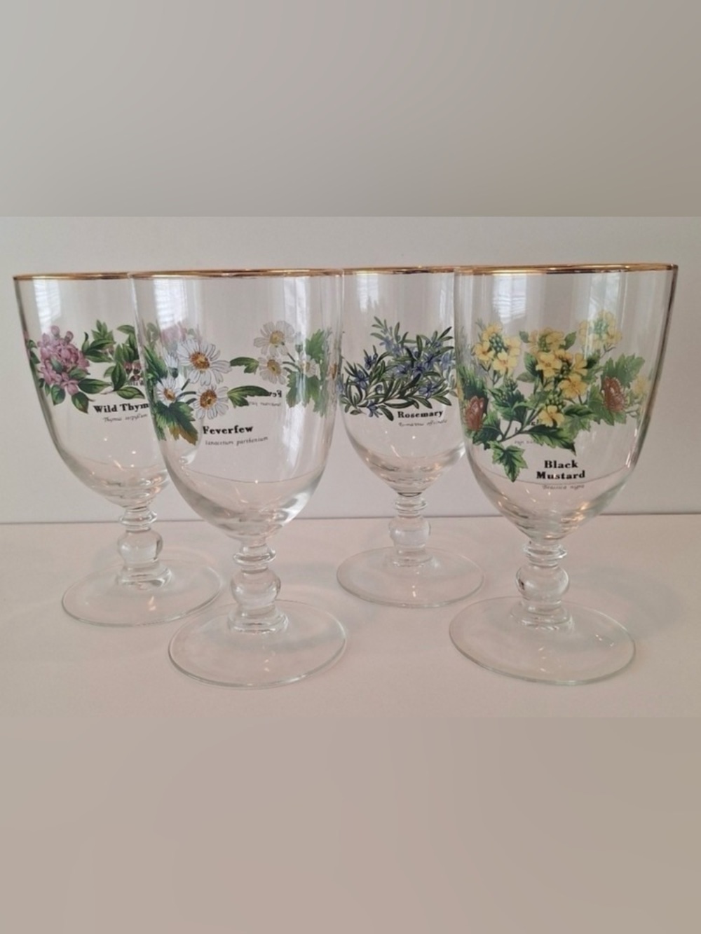 EUC Royal Worchester Herbs Stemmed Water Goblets w/Gold Rim (Set of 4) Vintage